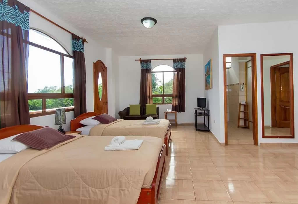 Suite Garden View